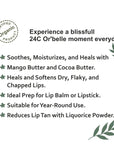 LIP SCRUB