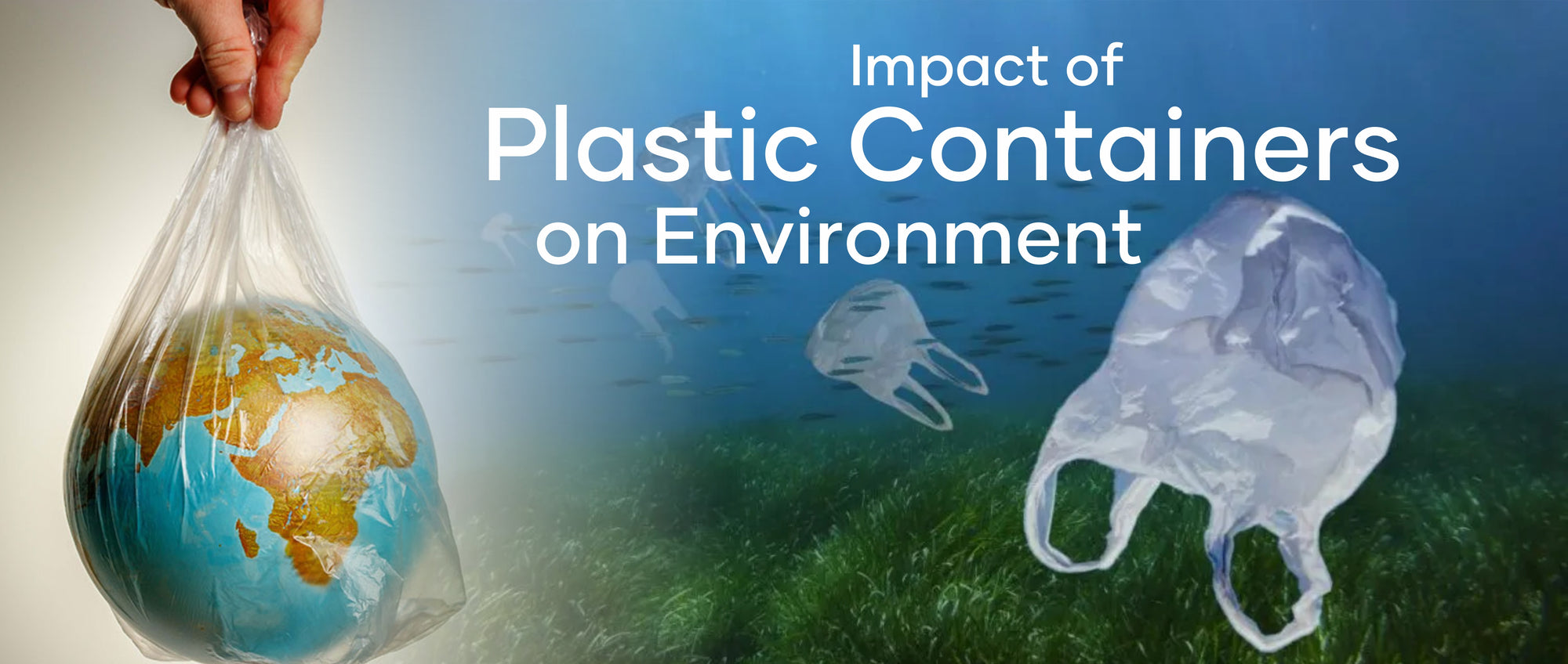 THE ENVIRONMENTAL IMPACT OF PLASTIC CONTAINERS AND CHEMICALS IN COSMETIC PRODUCTS