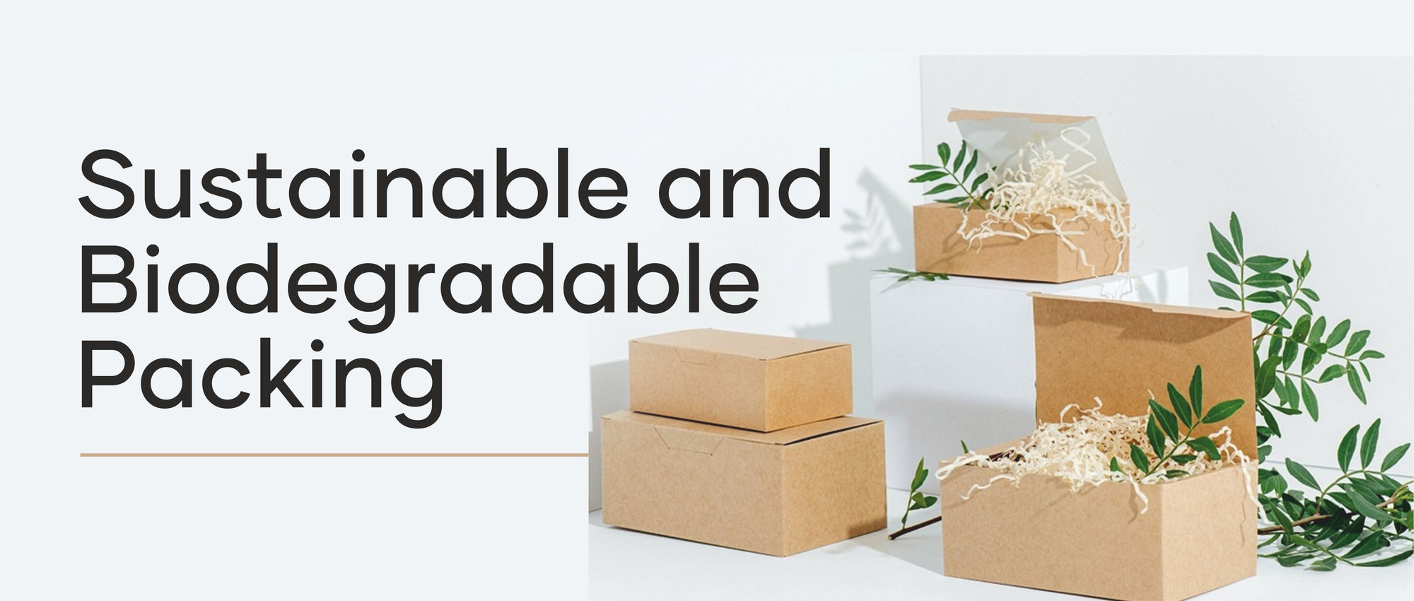 SUSTAINABLE AND BIODEGRADABLE PACKAGING: A GREEN CHOICE FOR NATURAL ORGANIC COSMETICS
