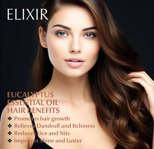 Your Home Feels Heavy, Your Body Feels Tense — Here’s the Natural Reset You’ve Been Missing