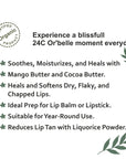 Lip scrub