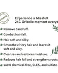 Hair shampoo bar